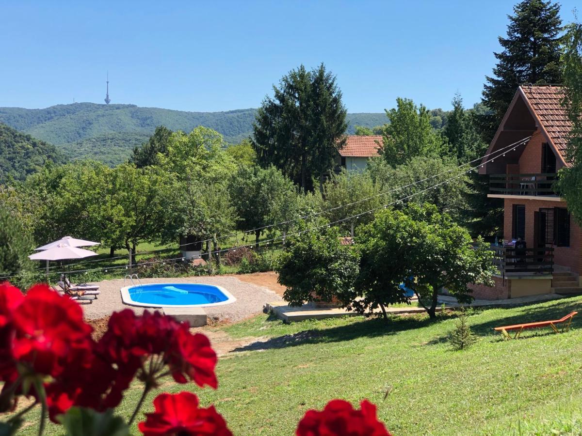 Fruska Pool House Villa Sremska Kamenica Екстериор снимка