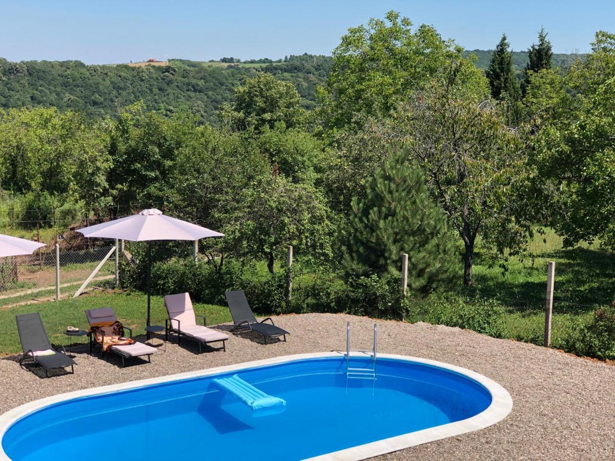 Fruska Pool House Villa Sremska Kamenica Екстериор снимка