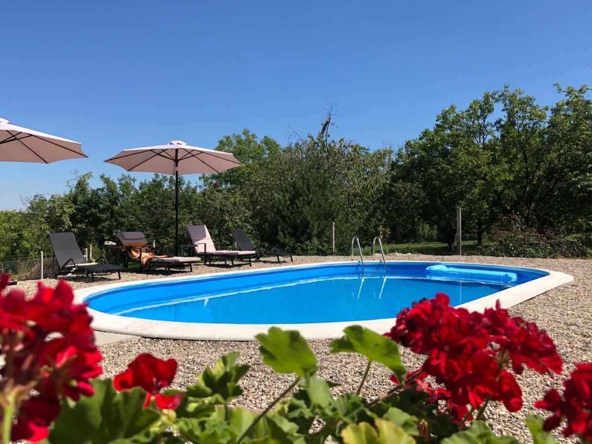 Fruska Pool House Villa Sremska Kamenica Екстериор снимка