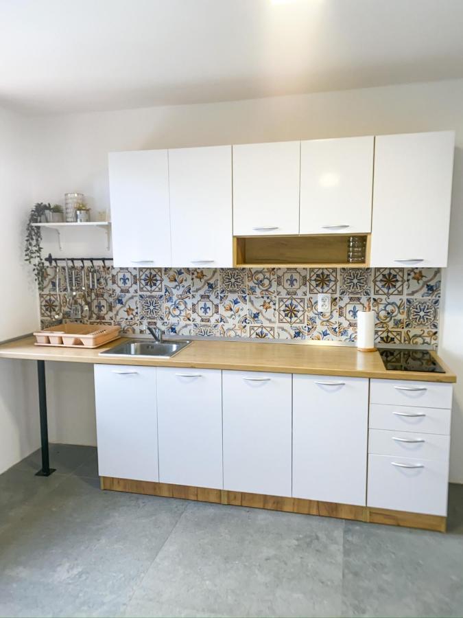 Fruska Pool House Villa Sremska Kamenica Екстериор снимка
