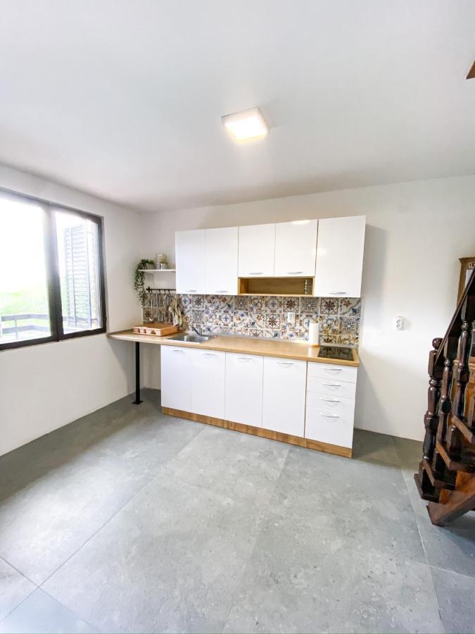 Fruska Pool House Villa Sremska Kamenica Екстериор снимка