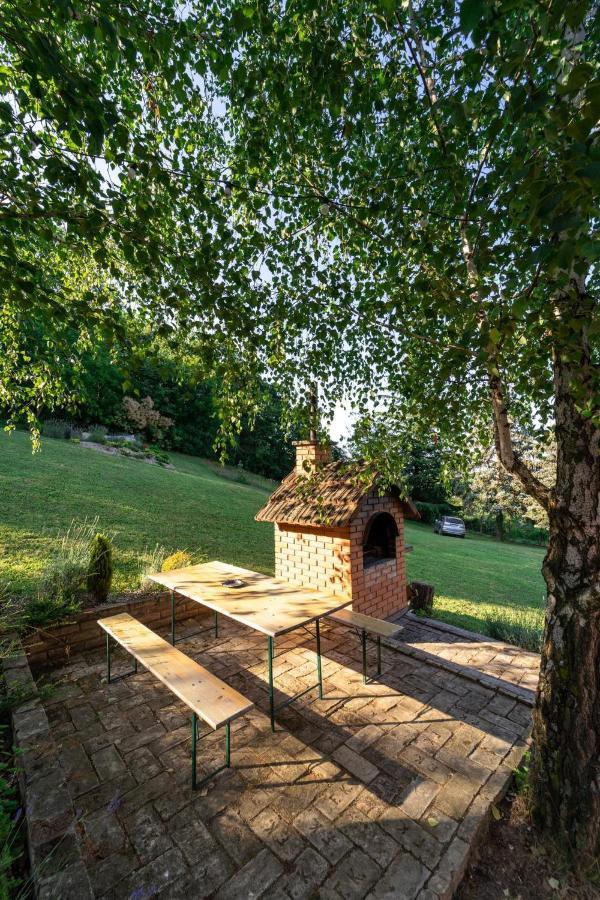 Fruska Pool House Villa Sremska Kamenica Екстериор снимка