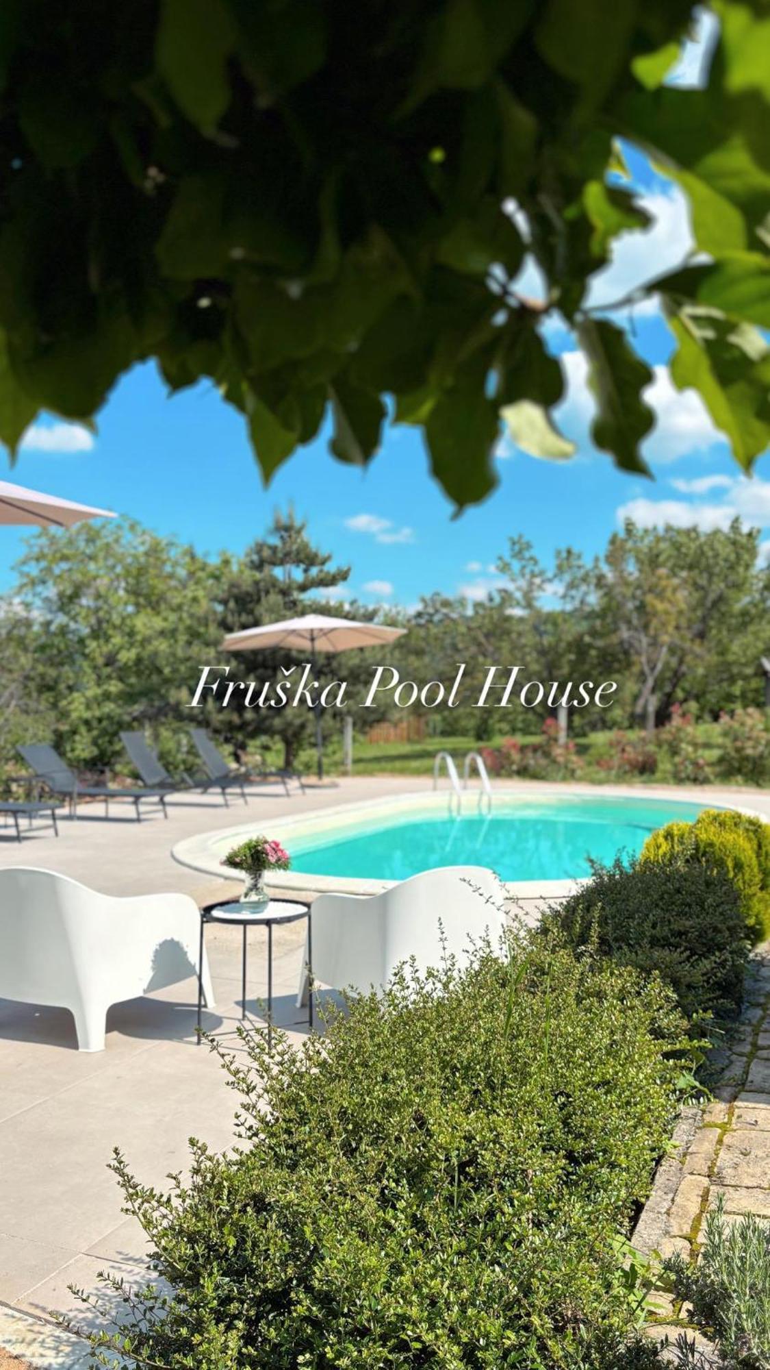 Fruska Pool House Villa Sremska Kamenica Екстериор снимка