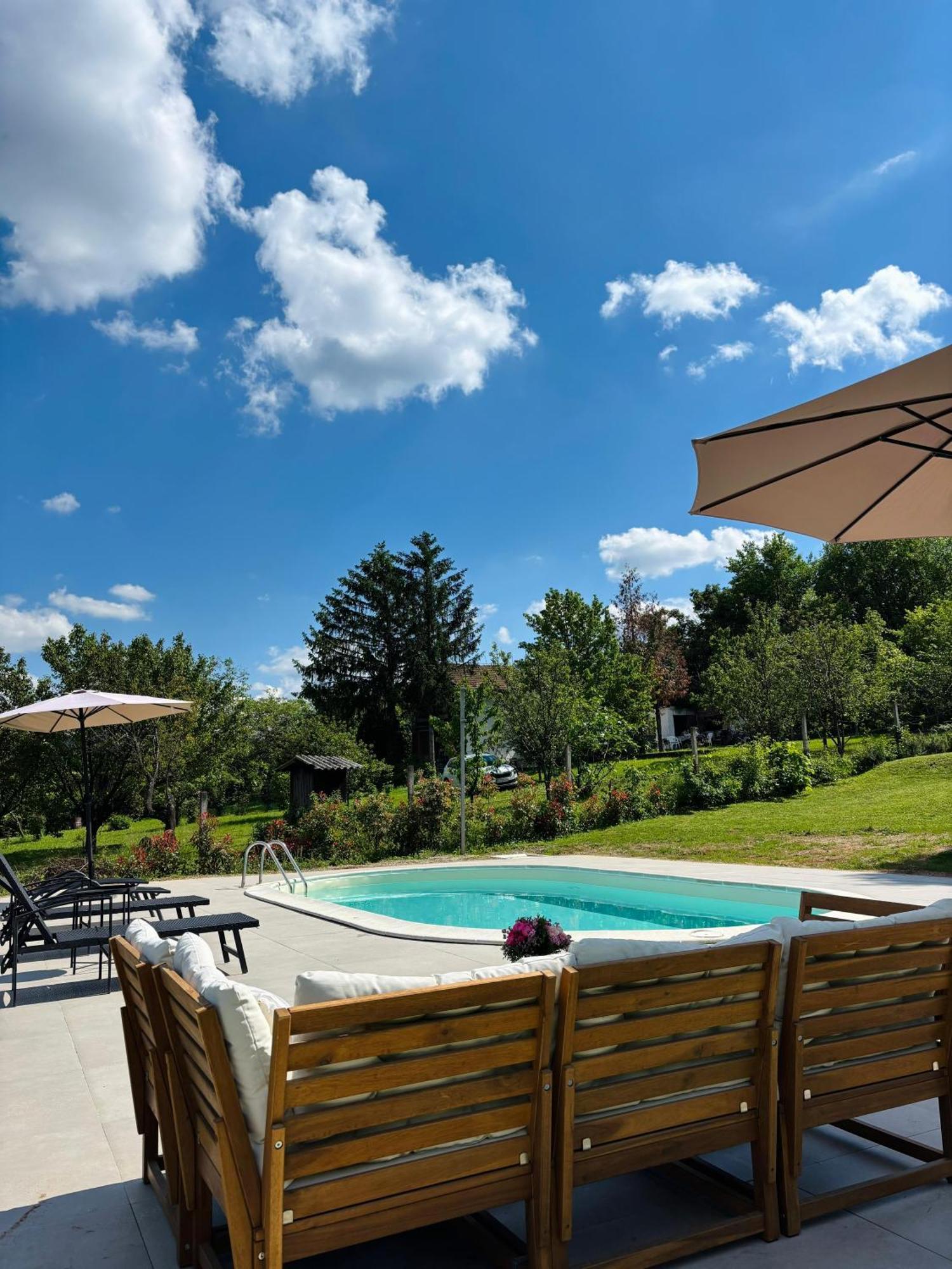 Fruska Pool House Villa Sremska Kamenica Екстериор снимка