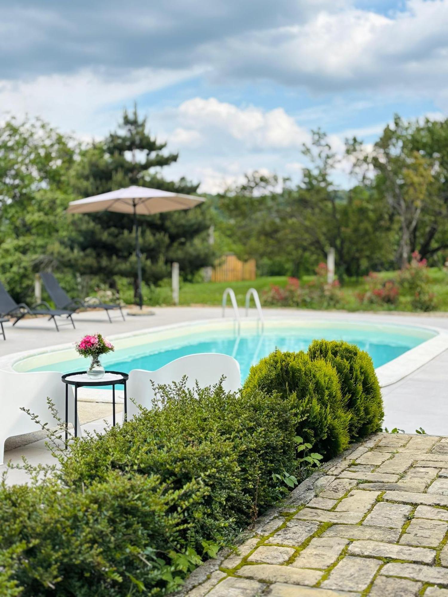 Fruska Pool House Villa Sremska Kamenica Екстериор снимка