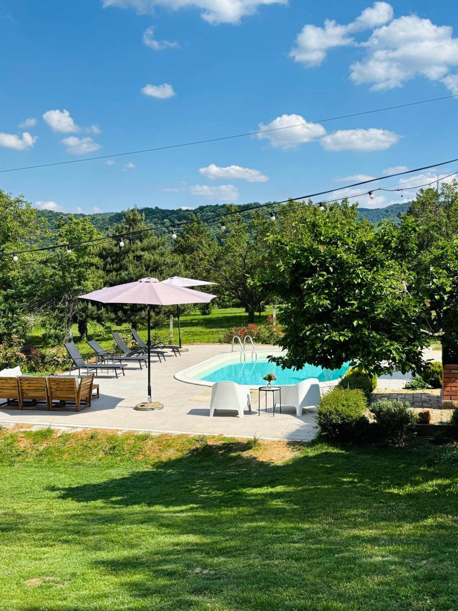 Fruska Pool House Villa Sremska Kamenica Екстериор снимка